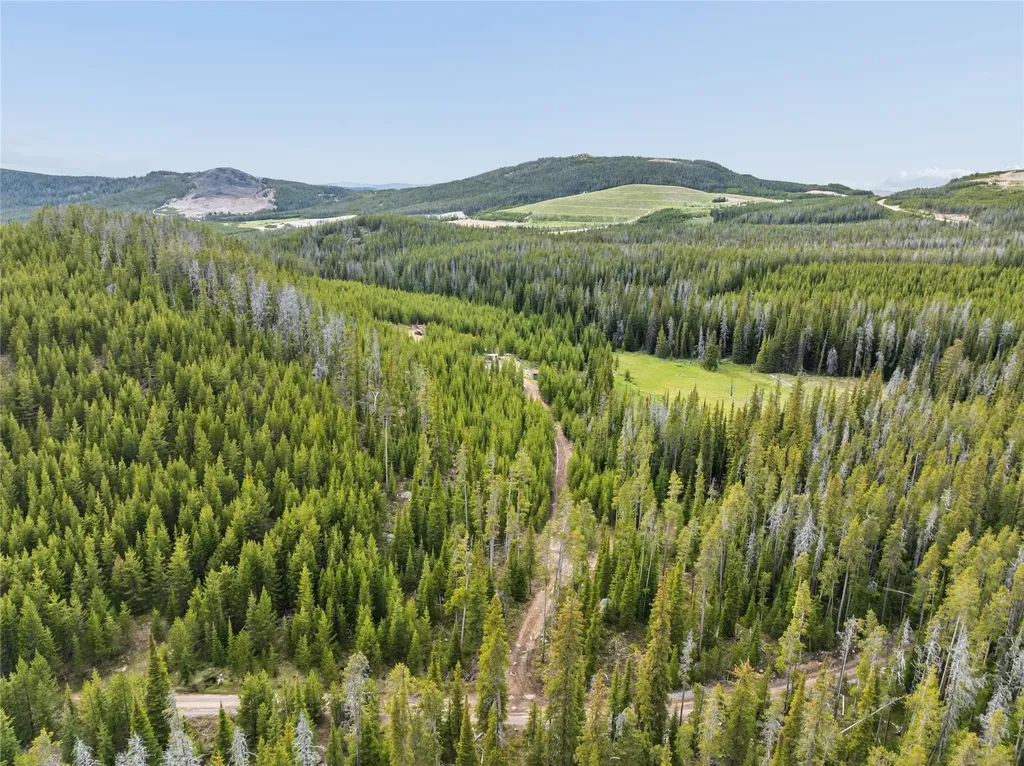 Tbd Dorothy Snow Lode Basin MT 59006