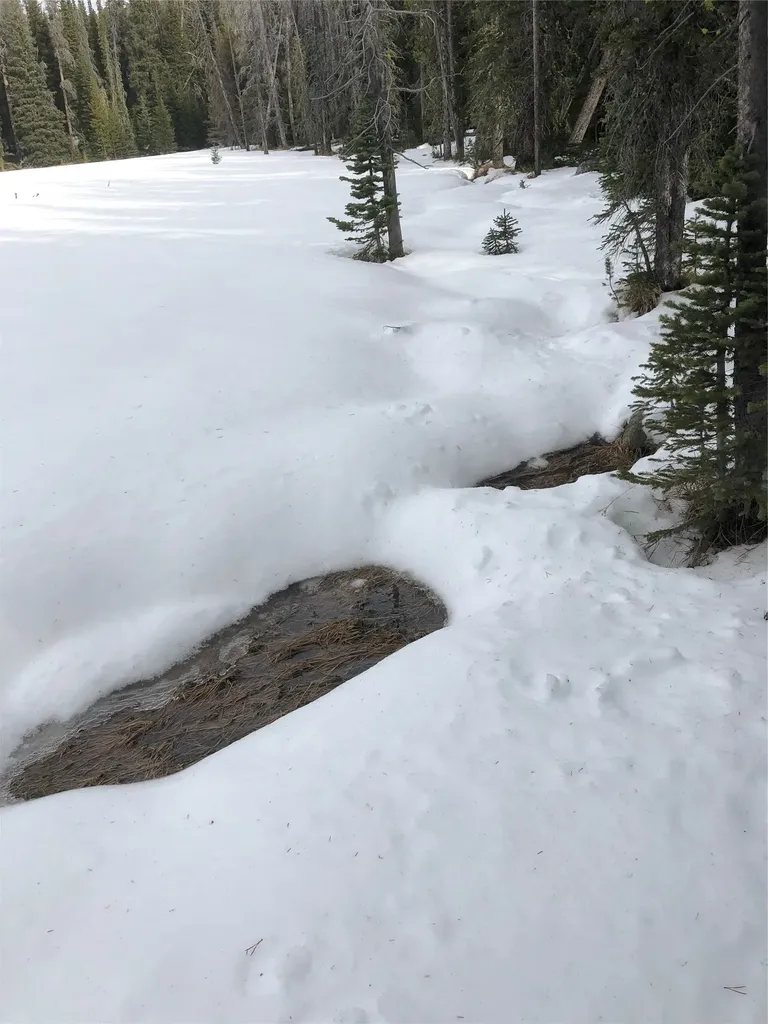 Tbd Dorothy Snow Lode Basin MT 59006