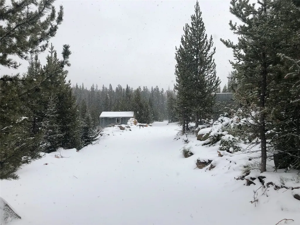 Tbd Dorothy Snow Lode Basin MT 59006