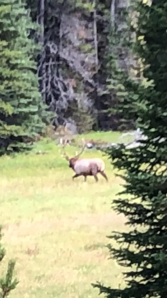 Tbd Dorothy Snow Lode Basin MT 59006