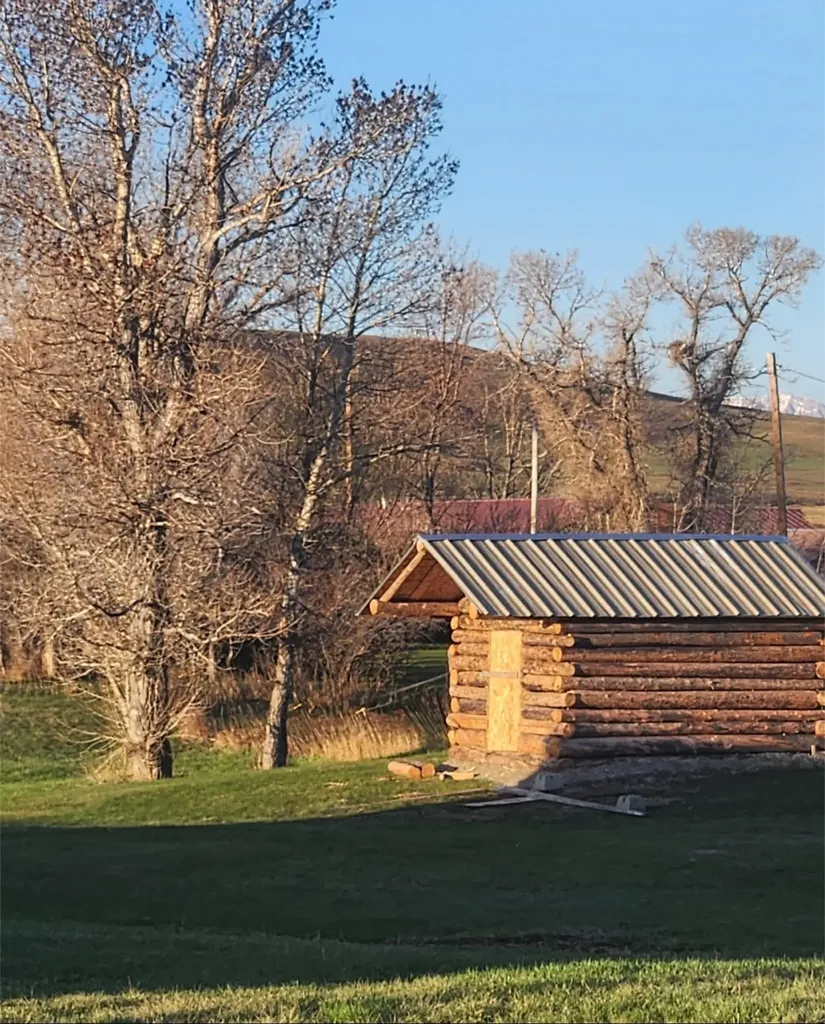 220 Columbus Avenue Dupuyer MT 59432