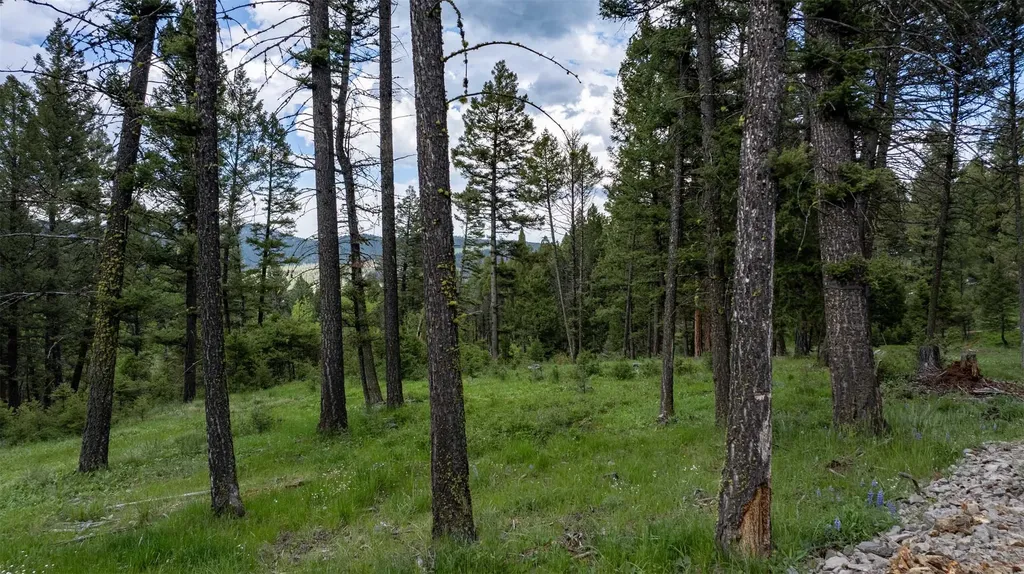 121 High Spring Lane Helmville MT 59843