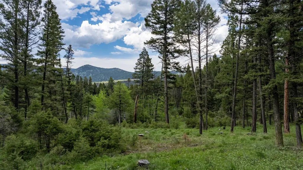 121 High Spring Lane Helmville MT 59843