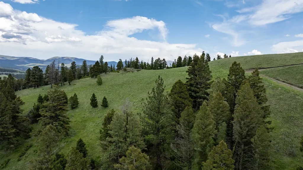 121 High Spring Lane Helmville MT 59843