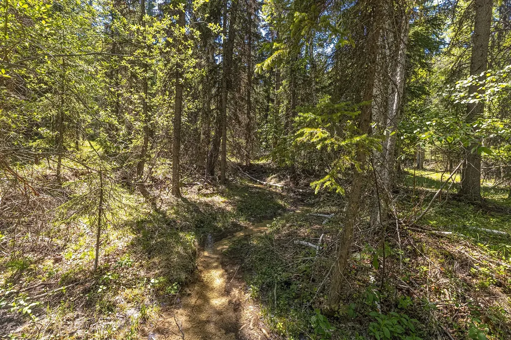 124 Soaring Eagle Trail Fortine MT 59918