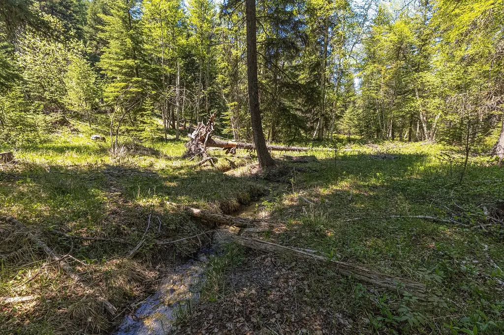 124 Soaring Eagle Trail Fortine MT 59918