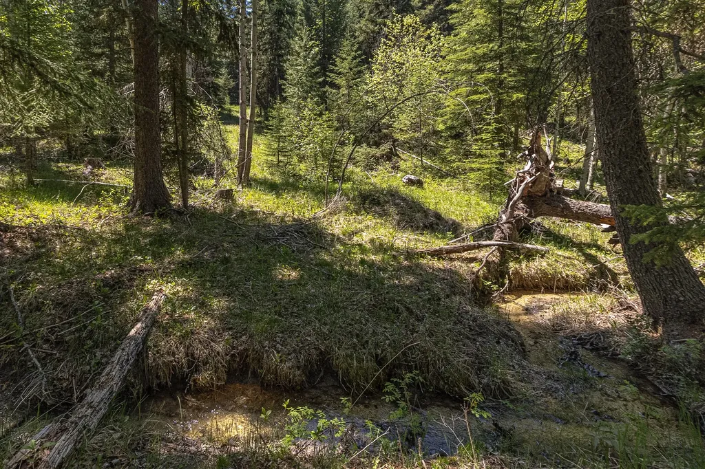124 Soaring Eagle Trail Fortine MT 59918