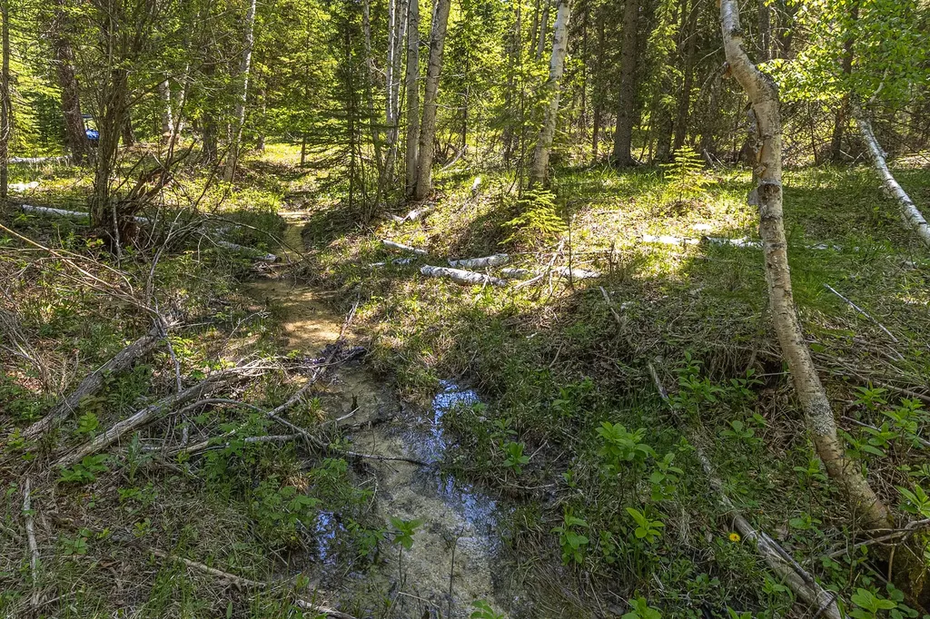 124 Soaring Eagle Trail Fortine MT 59918