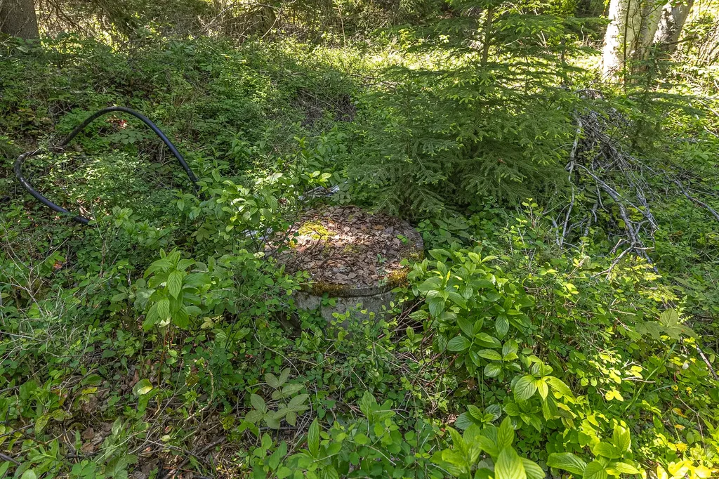 124 Soaring Eagle Trail Fortine MT 59918