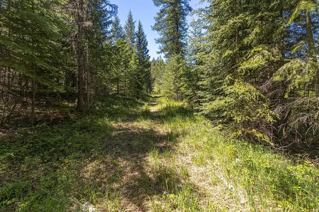 124 Soaring Eagle Trail Fortine MT 59918