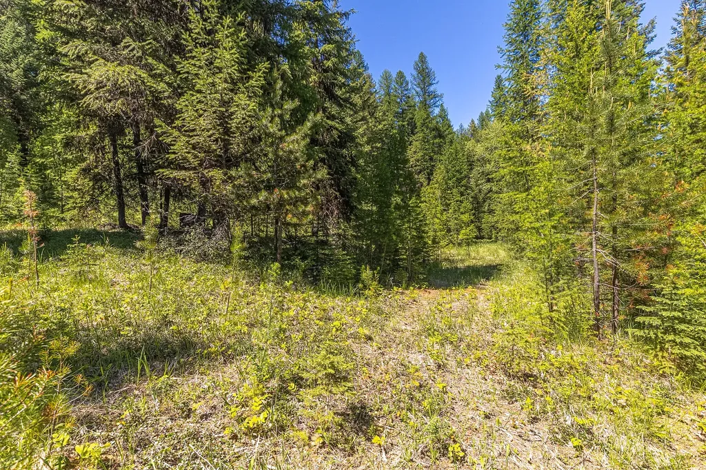 124 Soaring Eagle Trail Fortine MT 59918