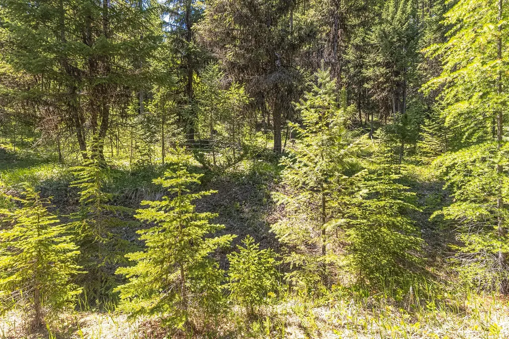124 Soaring Eagle Trail Fortine MT 59918