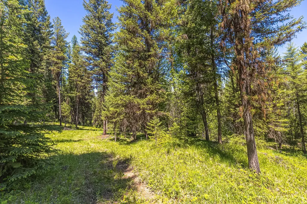124 Soaring Eagle Trail Fortine MT 59918
