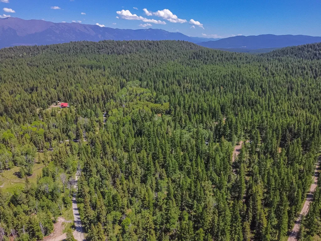 124 Soaring Eagle Trail Fortine MT 59918