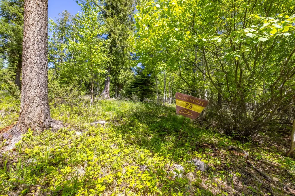 250 N Shooting Star Circle Whitefish MT 59937