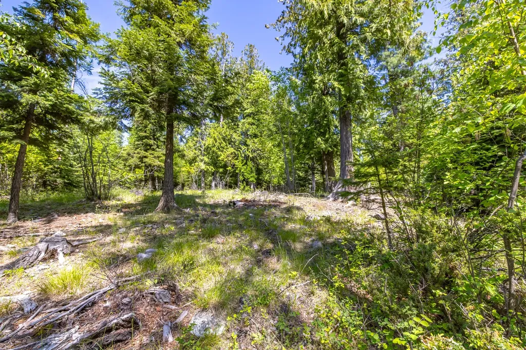250 N Shooting Star Circle Whitefish MT 59937