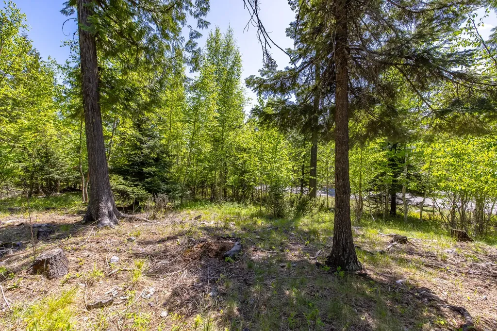 250 N Shooting Star Circle Whitefish MT 59937