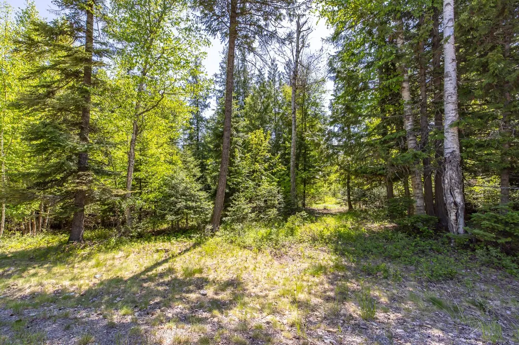 250 N Shooting Star Circle Whitefish MT 59937