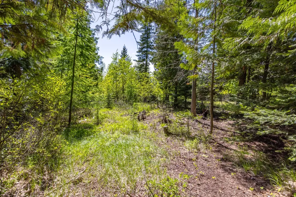 250 N Shooting Star Circle Whitefish MT 59937