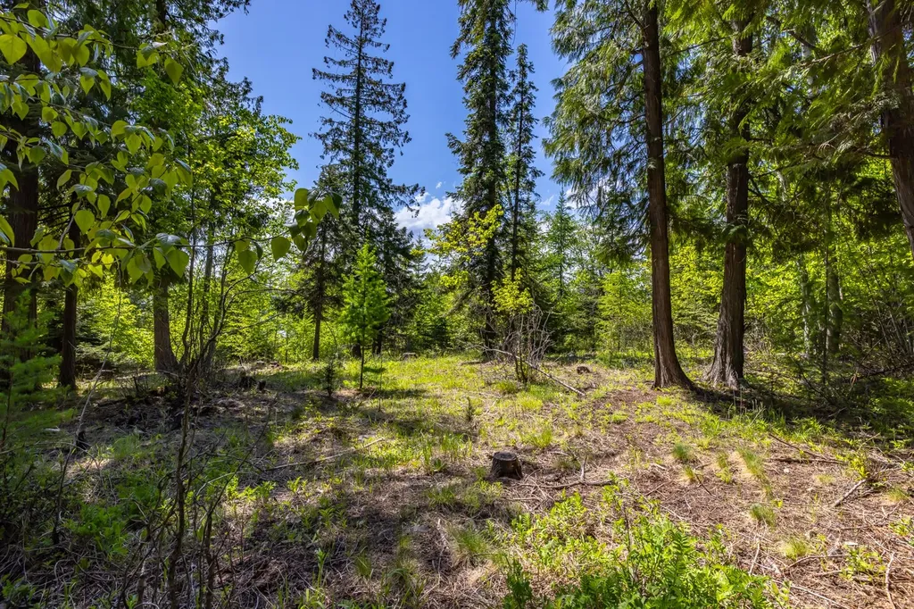 250 N Shooting Star Circle Whitefish MT 59937