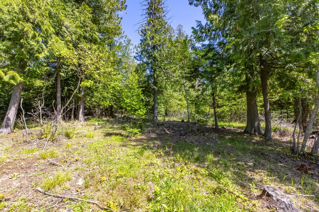 250 N Shooting Star Circle Whitefish MT 59937