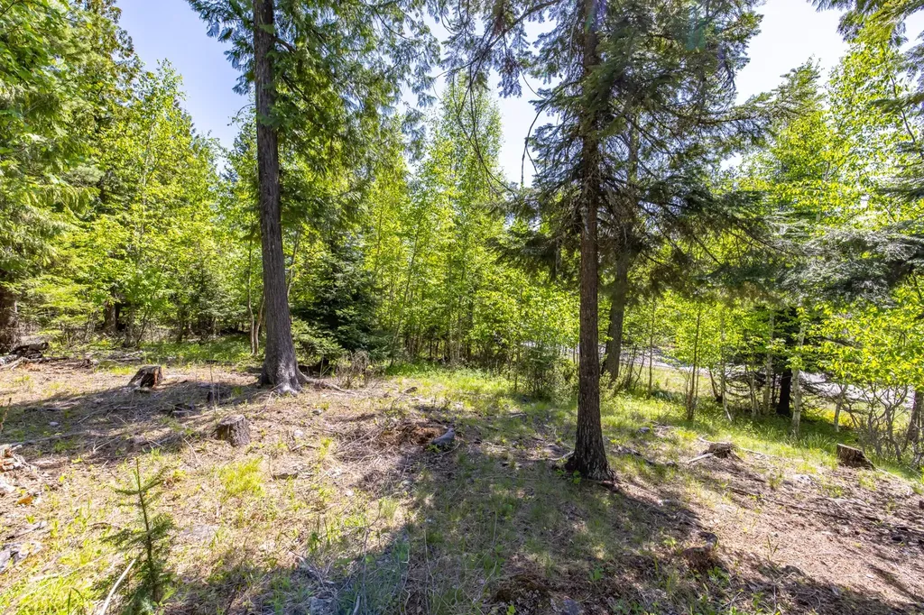 250 N Shooting Star Circle Whitefish MT 59937