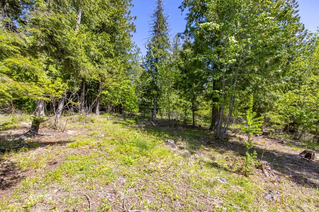 250 N Shooting Star Circle Whitefish MT 59937