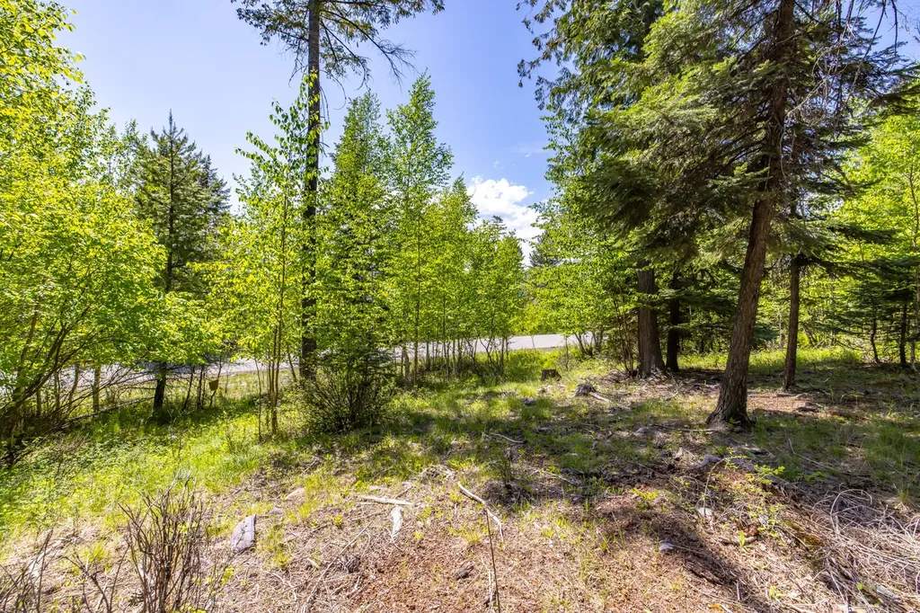 250 N Shooting Star Circle Whitefish MT 59937