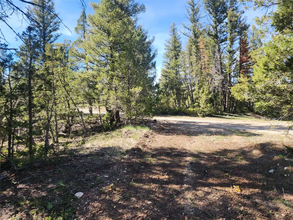 Nhn Boarding House Flats Philipsburg MT 59858