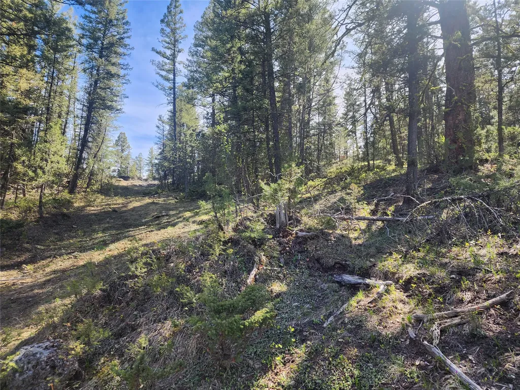 Nhn Boarding House Flats Philipsburg MT 59858
