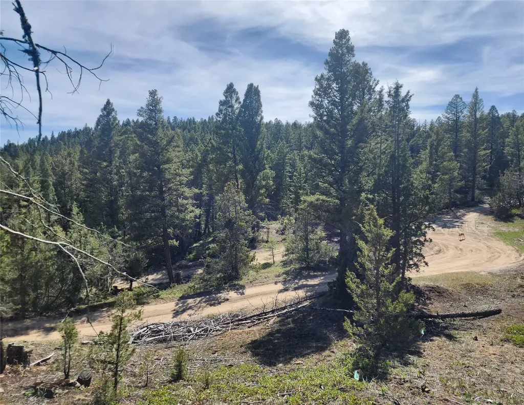 Nhn Boarding House Flats Road Philipsburg MT 59858
