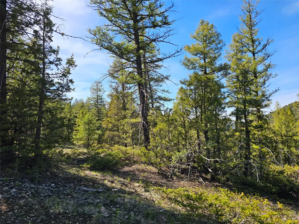 Nhn Boarding House Flats Road Philipsburg MT 59858