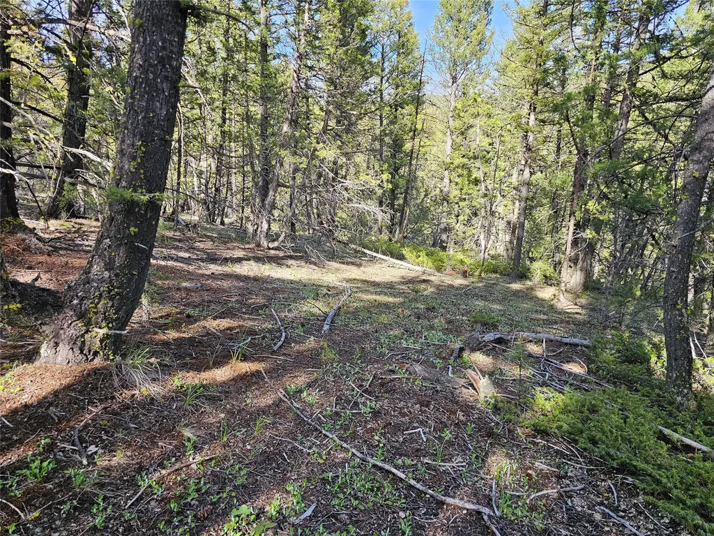 Nhn Boarding House Flats Road Philipsburg MT 59858
