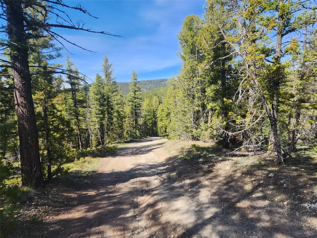 Nhn Boarding House Flats Road Philipsburg MT 59858