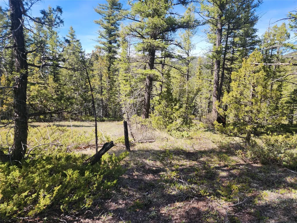 Nhn Boarding House Flats Philipsburg MT 59858