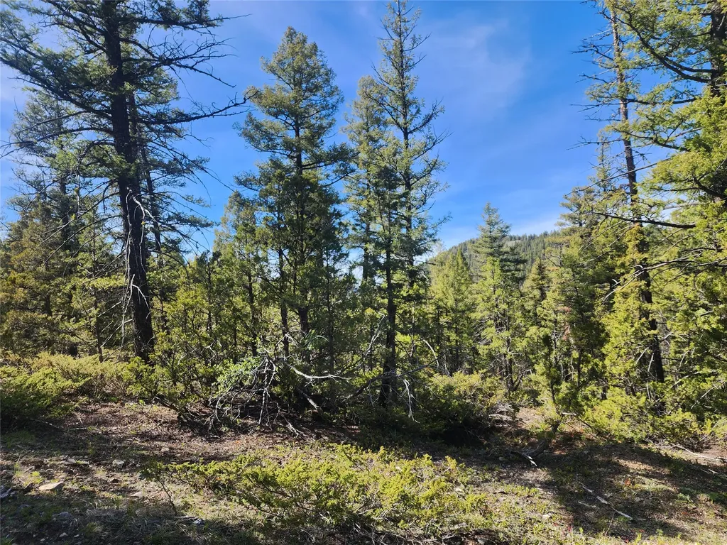 Nhn Boarding House Flats Road Philipsburg MT 59858