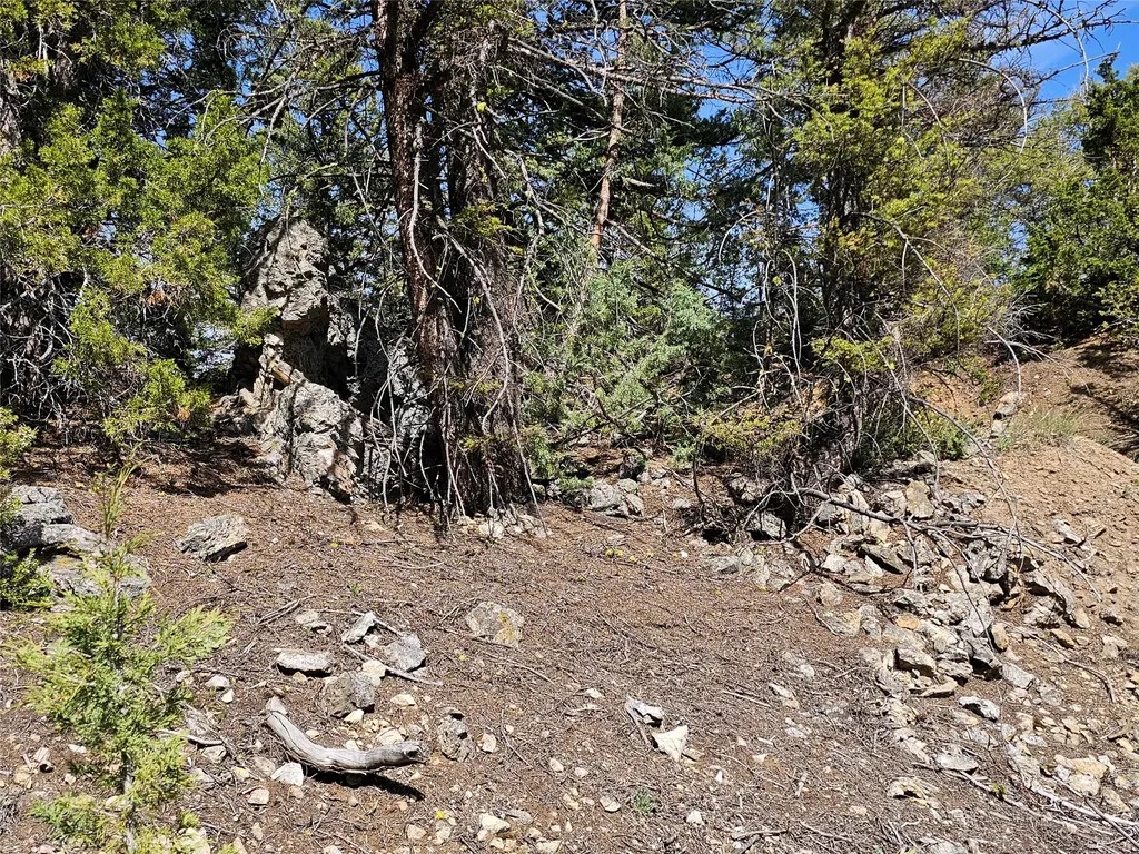 Nhn Boarding House Flats Philipsburg MT 59858