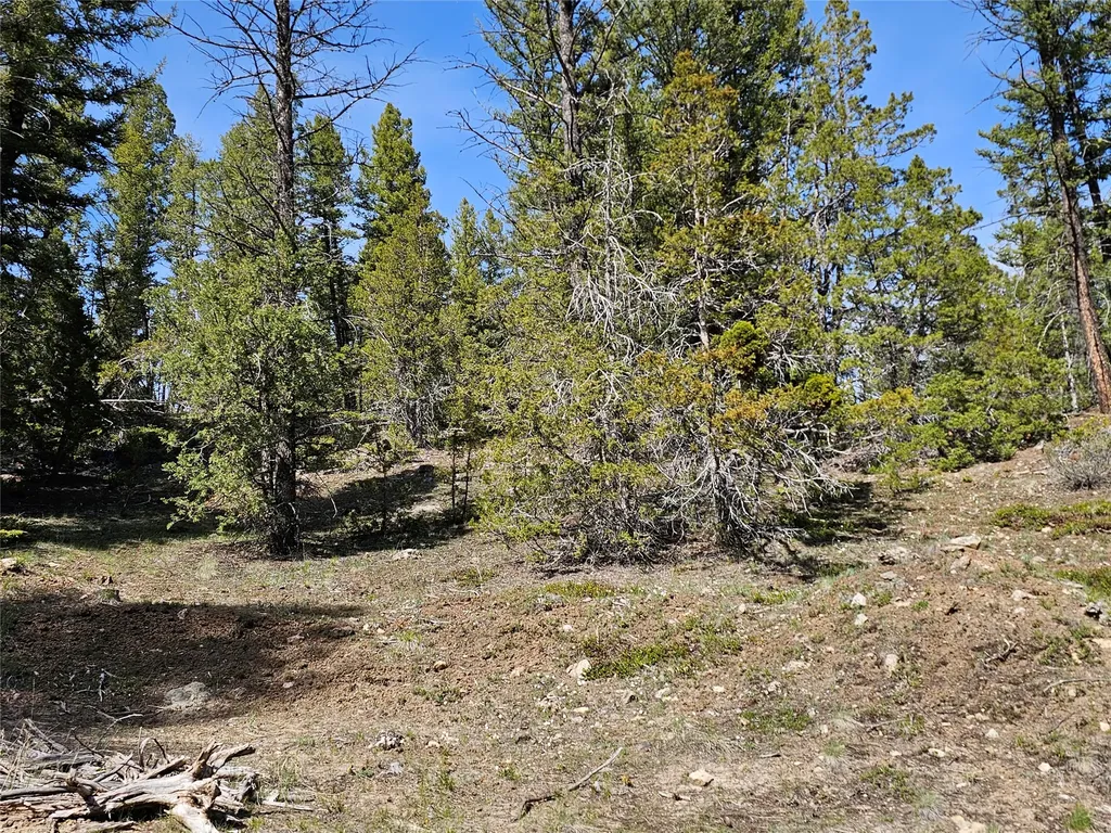 Nhn Boarding House Flats Philipsburg MT 59858