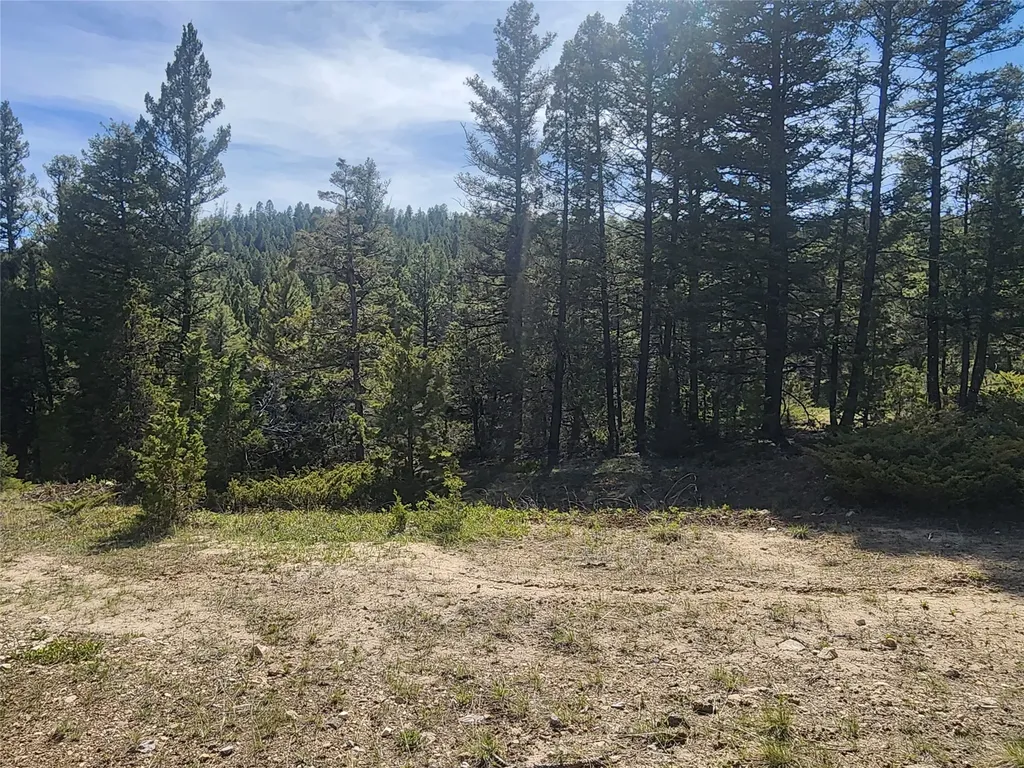 Nhn Boarding House Flats Philipsburg MT 59858