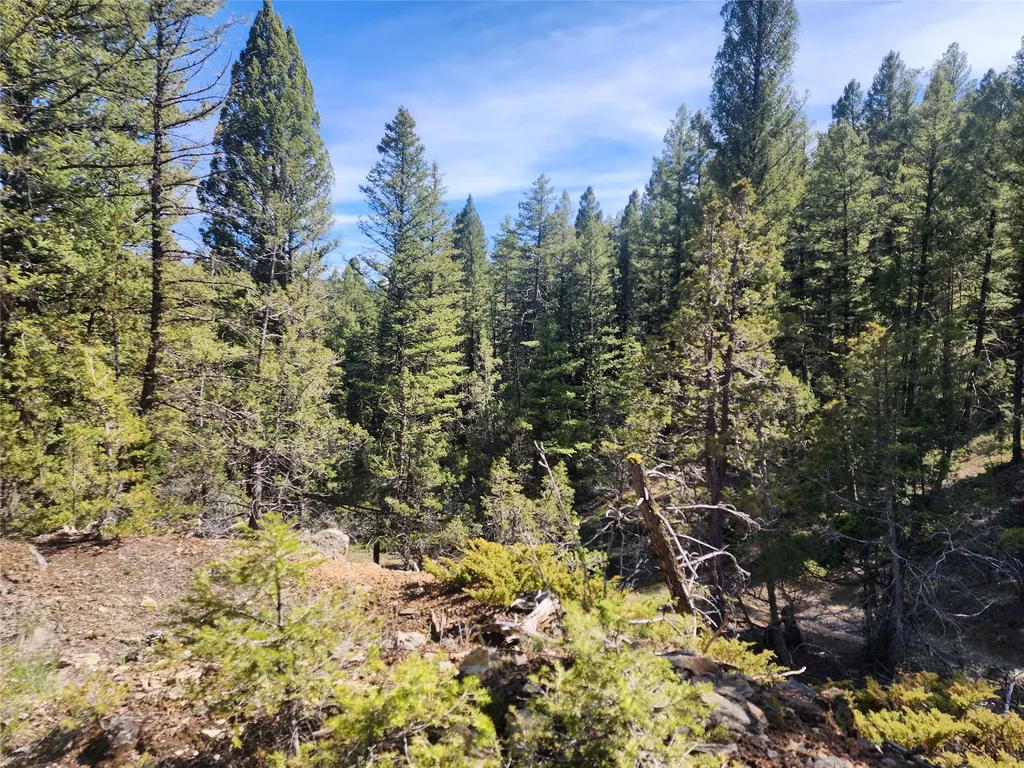 Nhn Boarding House Flats Road Philipsburg MT 59858