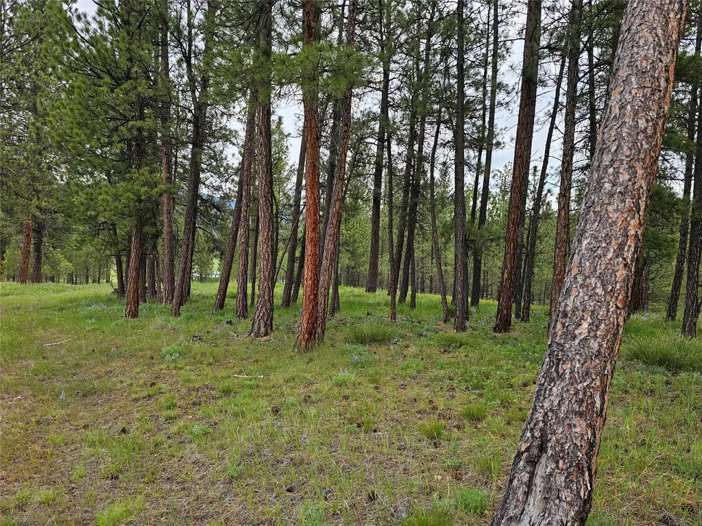 28273 Blixit Creek Road Bonner MT 59823