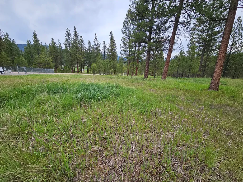 28273 Blixit Creek Road Bonner MT 59823