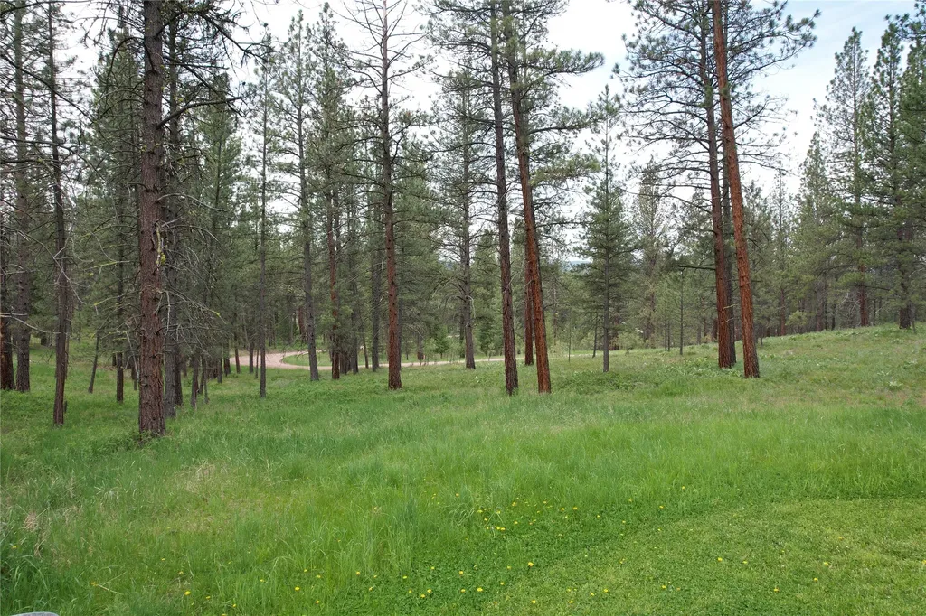 28273 Blixit Creek Road Bonner MT 59823