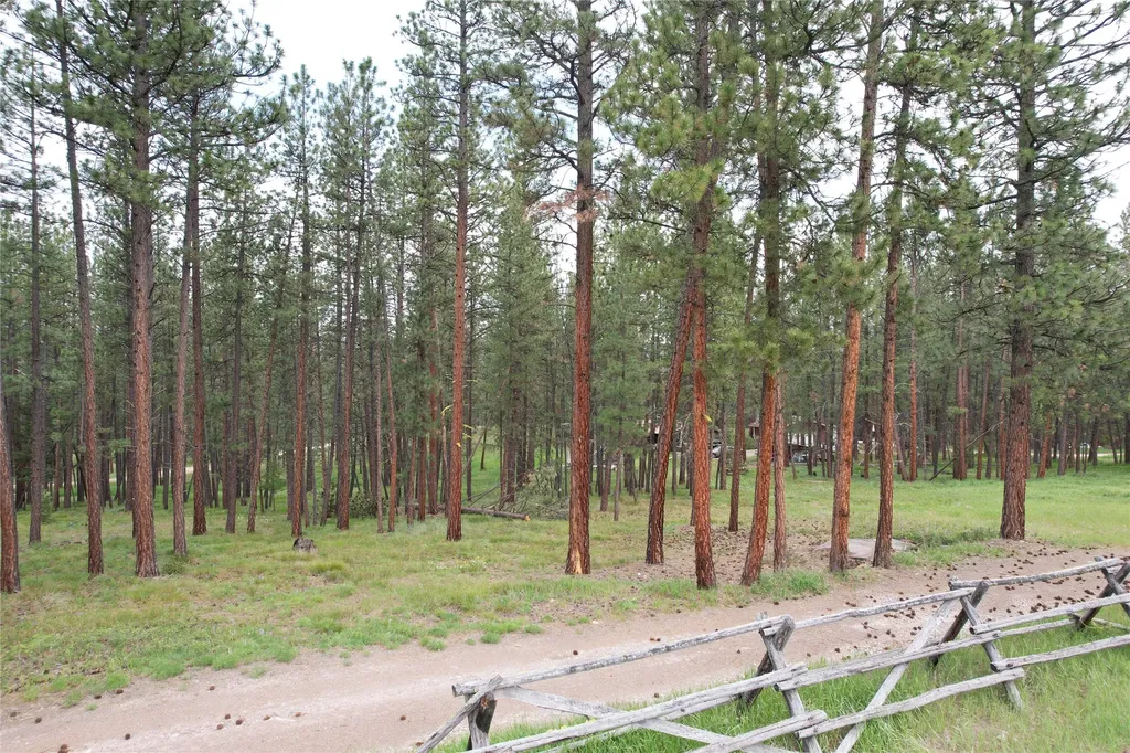 28273 Blixit Creek Road Bonner MT 59823