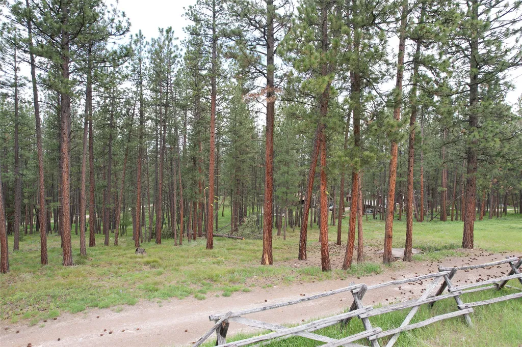 28273 Blixit Creek Road Bonner MT 59823