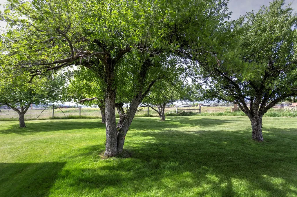 3552 Eastside Highway Stevensville MT 59870