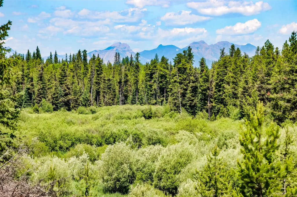 16445 North Fork Road Polebridge MT 59928
