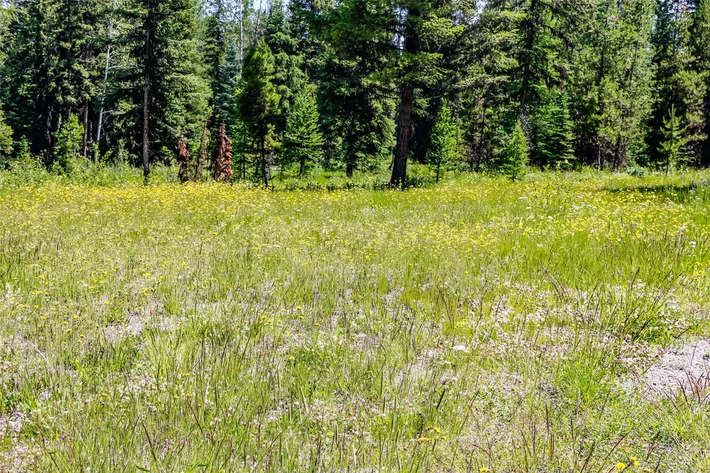 16445 North Fork Road Polebridge MT 59928