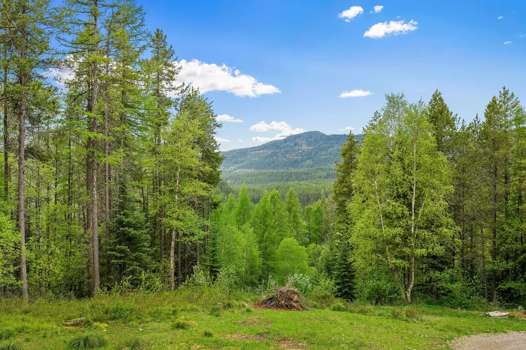 1087 Lakeview Lane Columbia Falls MT 59912