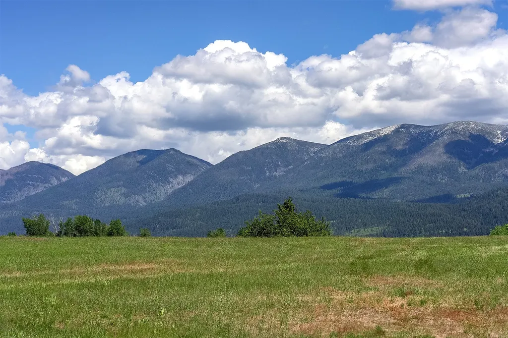 226 Pheasant Ridge Lane Polson MT 59860
